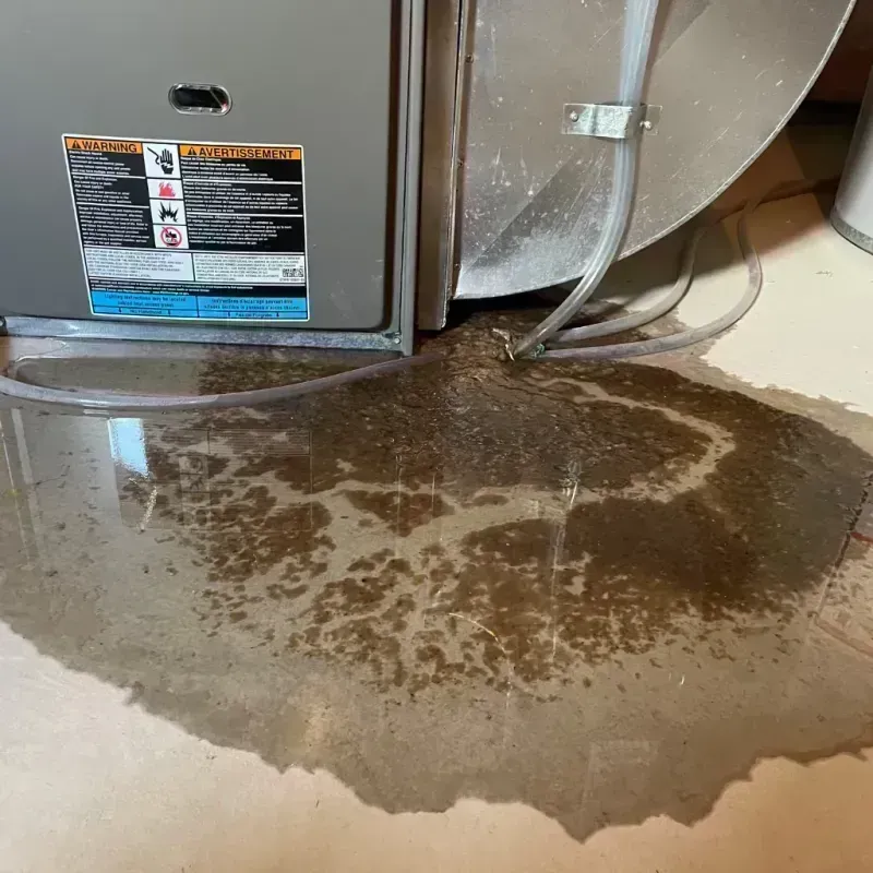 Appliance Leak Cleanup in Lake City, CO